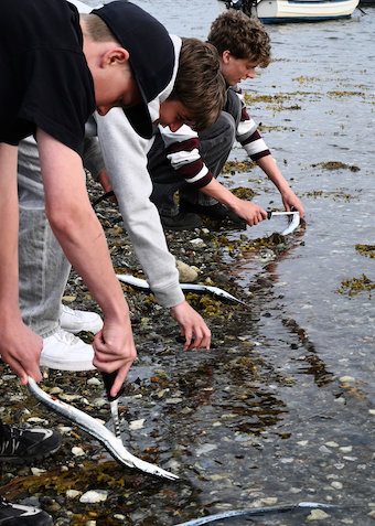 Fisketur, fredag 11 sept. - Klik for at tilmelde dig